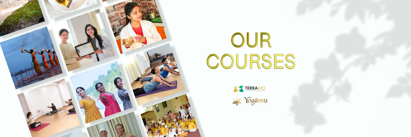 "Discover Serenity: Embark on a Journey of Wellness with Our Yoga Courses"
