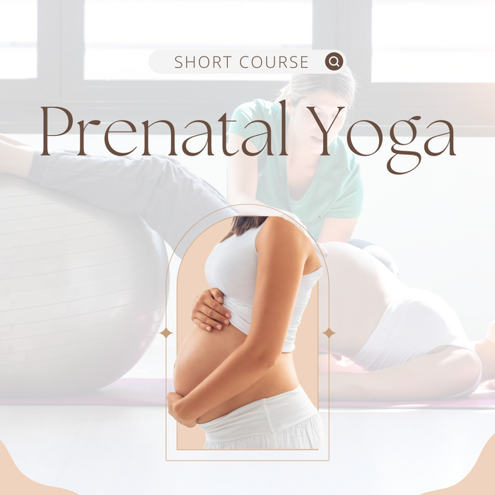 Prenatal Yoga 20 HR Course (YACEP)